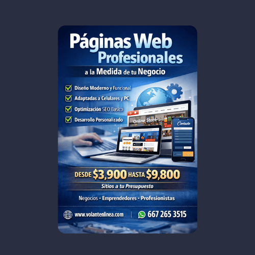 Páginas Web Profesionales a la Medida de tu Negocio